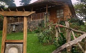 Provenza En Los Naranjos